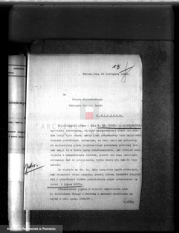 Obraz 17 z jednostki "Majętność leśna Brodowo powiat średzki"