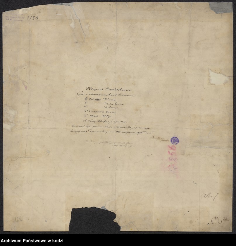 Obraz 16 z jednostki "Pieroworys Urządzenia Majoratu Radziechowice składający się z folwarków Radziechowice i Dąbrówka, Kolonii Radziechowice Brodowe i Dąbrowka, osady Czerkowizna, młyna Klekot oraz lasów przyległych ..."