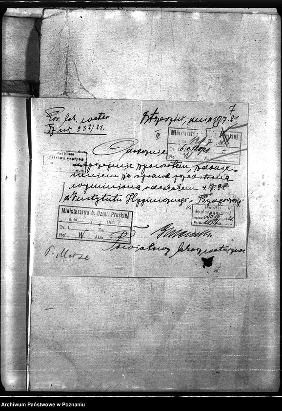 Obraz 11 z jednostki "Nosacizna - Ostrzeszów"