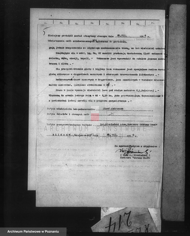 Obraz 9 z jednostki "Nadzór nad gospodarką w lasach majątku Billczew-Kowalew powiat obornicki"