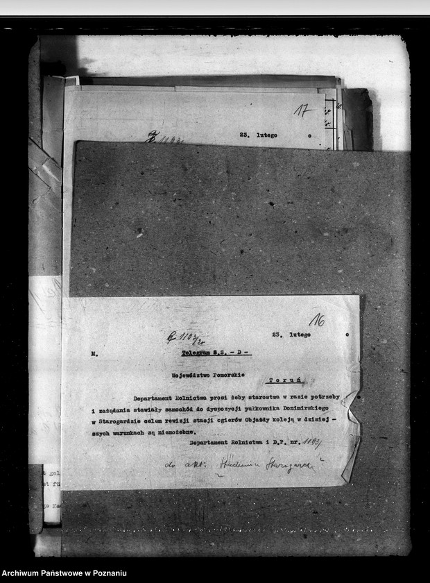 Obraz 20 z jednostki "Zarząd Stadnin Starogard"