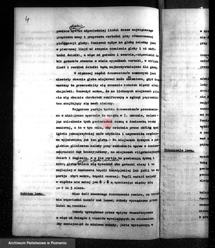 image.from.unit.number "Plan urządzenia gospodarstwa leśnego dla lasu majętności Przyborówko powiat szamotulski 1929-1939"