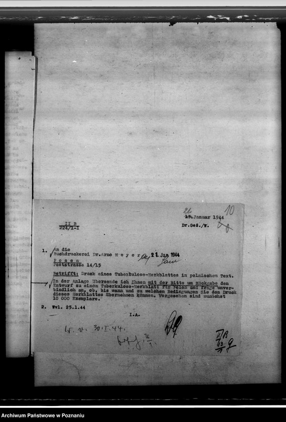 Obraz 14 z jednostki "Tuberkulose"