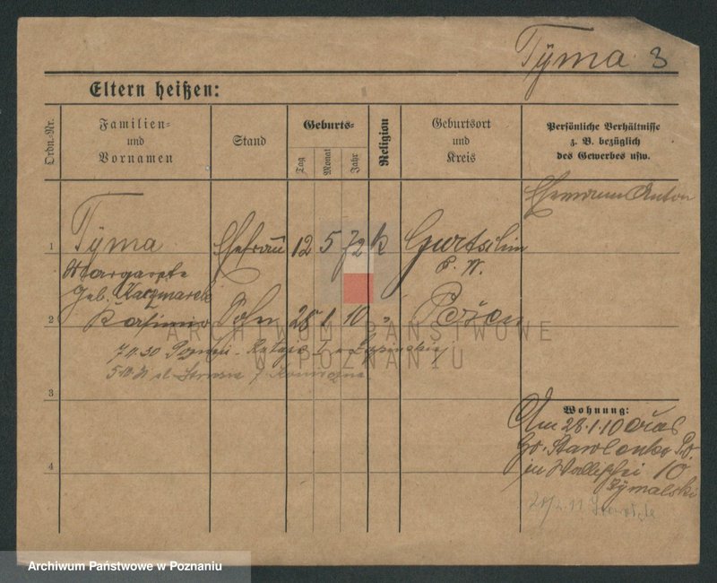 Obraz 9 z jednostki "Tyma - Tyżyk"