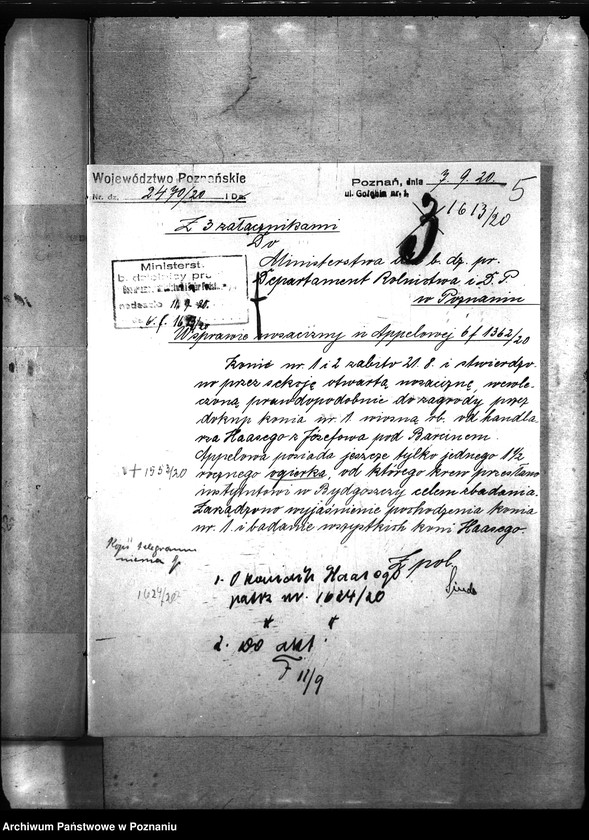 Obraz 9 z jednostki "Nosacizna - Szubin"