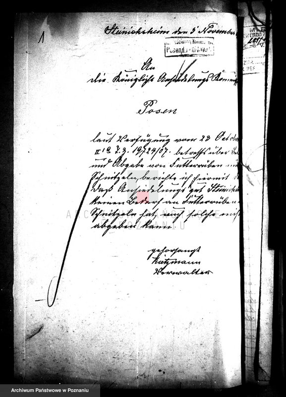 Obraz 5 z jednostki "Majątek Dębowo powiatu wyrzyskiego parcelacja rządowa"