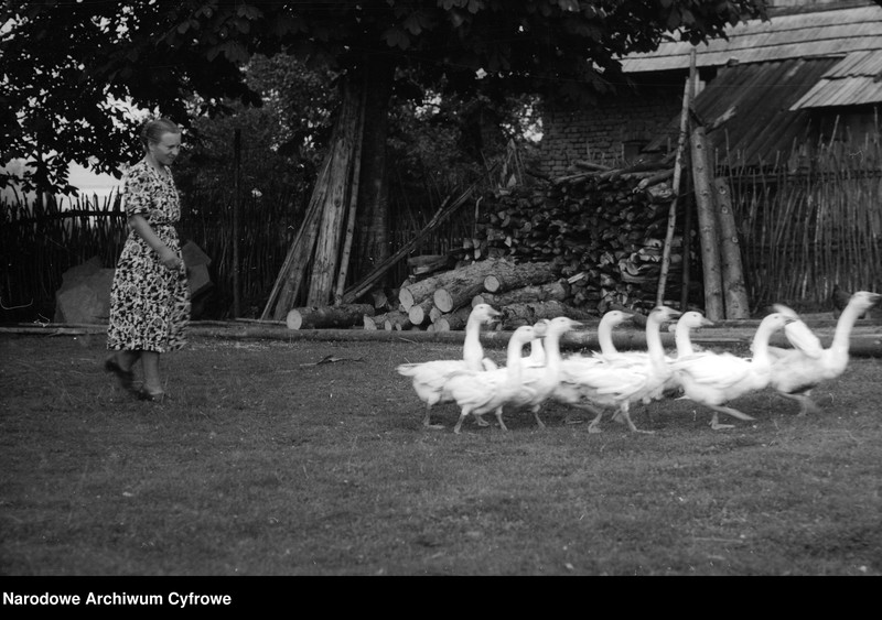 image.from.unit.number "Rokiciny Podhalańskie"