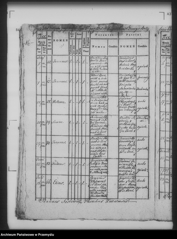 Obraz 20 z jednostki "[Kopie ksiąg metrykalnych parafii Żużel (dekanat Bełz)]"