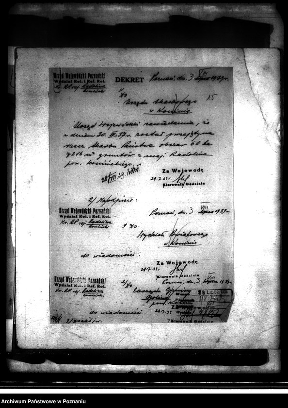 Obraz 19 z jednostki "Scalanie gruntów we wsi Kopojno powiatu konińskiego"