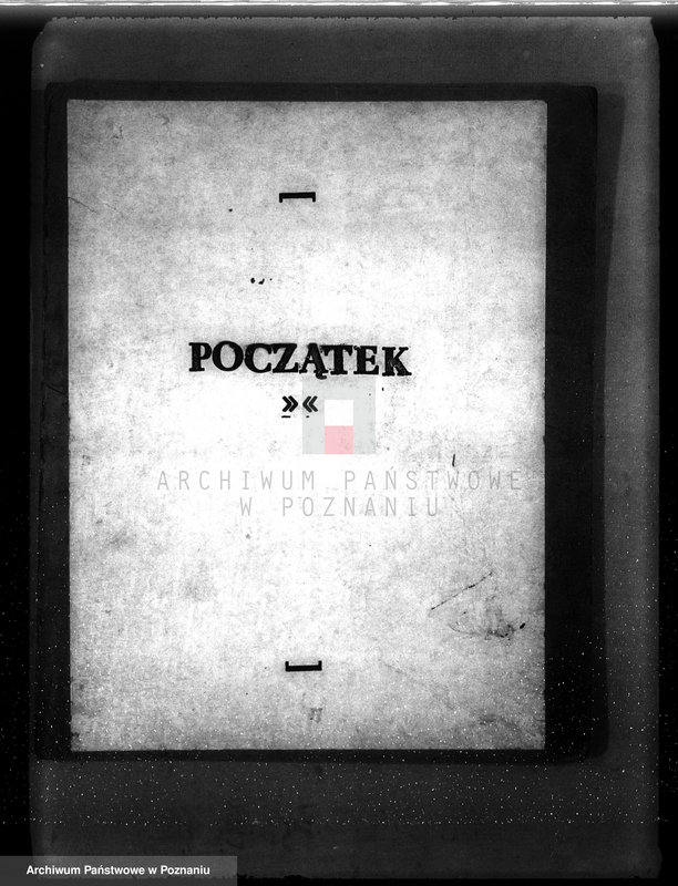 Obraz 3 z jednostki "Las gromady Dominowo powiat średzki"