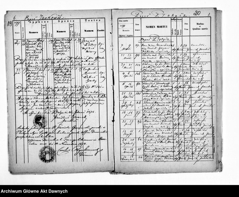 image.from.unit.number "Parafia: Płotycz. Dekanat: Tarnopol. Kopie z ksiąg metrykalnych ur., śl., zg. dla całej parafii (Płotycz i pozostałe wsie)."