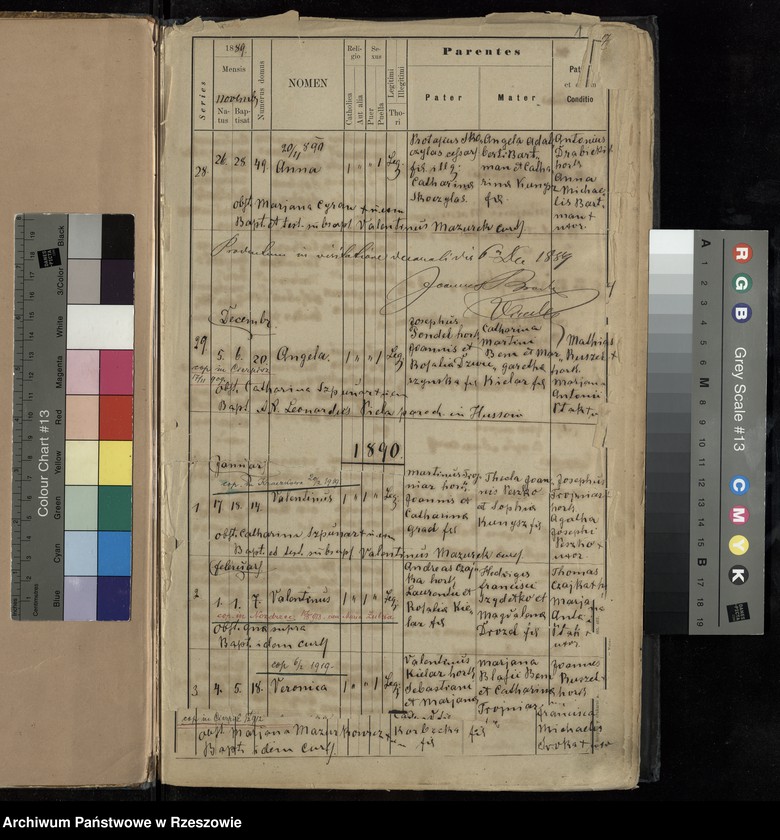 image.from.unit "Księga urodzeń - Cierpisz"