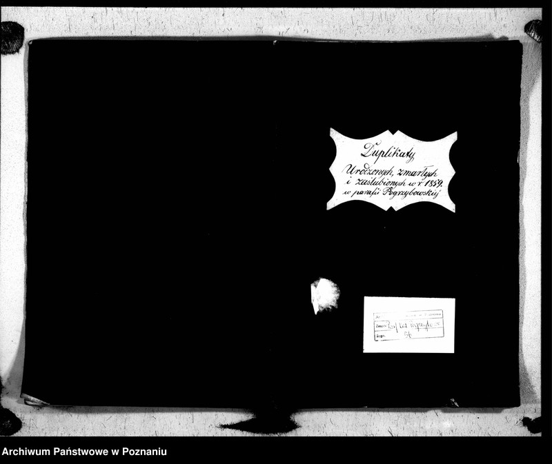 image.from.unit.number "Duplikat urodzonych, zaślubionych, zmarłych"
