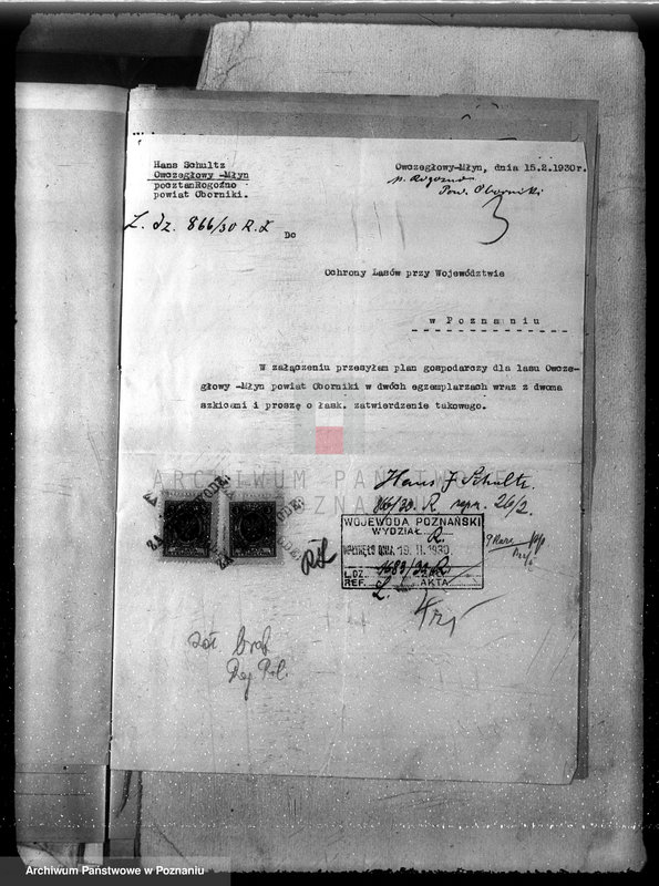 image.from.unit.number "Las majętność Ocieszyn powiat obornicki"
