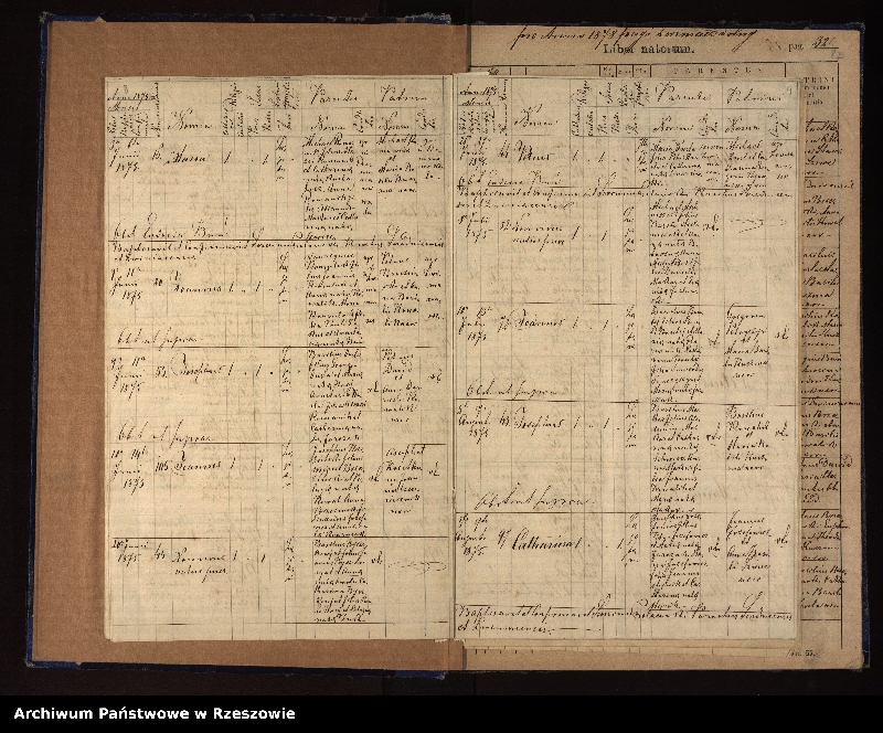 image.from.unit.number "Księga urodzeń, małżeństw, zgonów dla miejscowości Dźwiniacz Dolny"