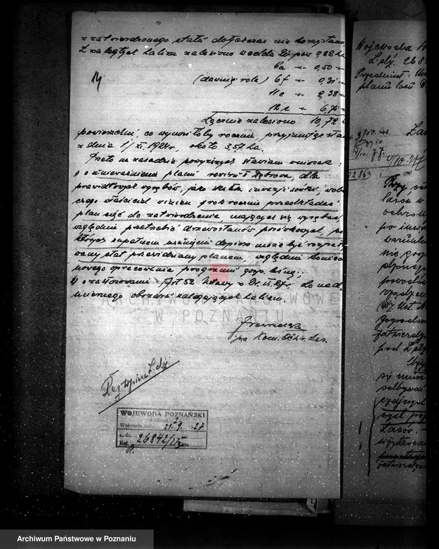 Obraz 19 z jednostki "Majętność leśna Dębowo powiat wyrzyski"