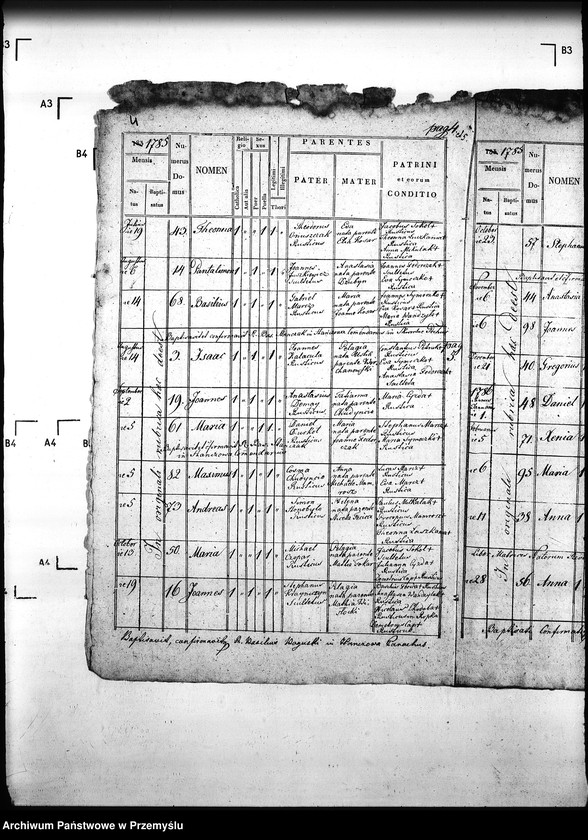 Obraz 8 z jednostki "[Kopie ksiąg metrykalnych parafii Hańczowa z filią Ropki (dekanat Gorlice)]"