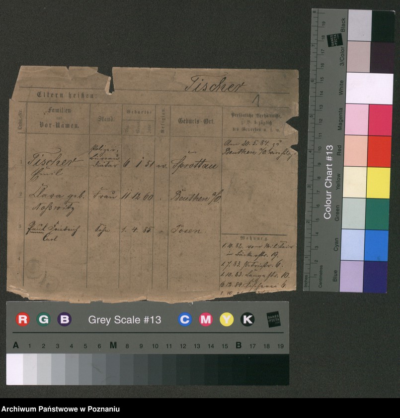 Obraz 6 z jednostki "Tiszer - Tode"