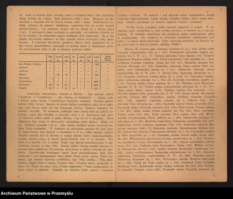 image.from.unit.number "Sprawozdanie Dyrekcji Państw[owego] Gimnazjum im. Bolesł[awa] Chrobrego w Gnieźnie za lata 1918/19-1928/29"