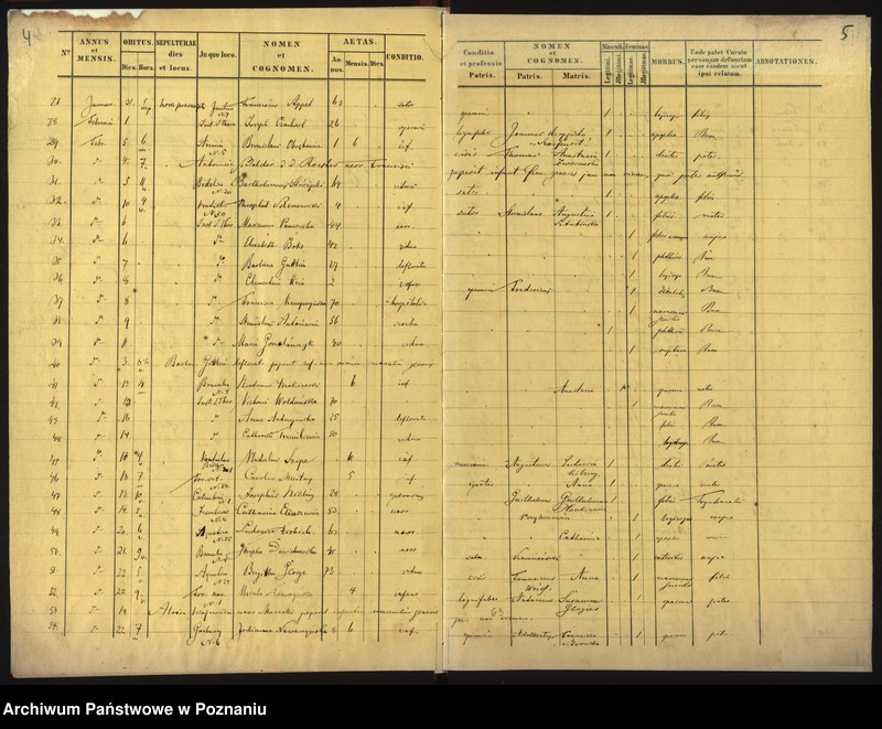 Obraz 5 z jednostki "Księga zgonów"