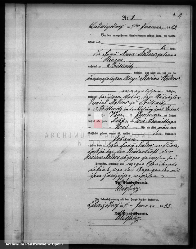 Obraz z jednostki "Geburts-Neben-Register Standesamts Ludwigsdorf pro 1883"