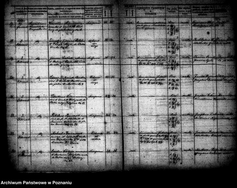 Obraz 4 z jednostki "Księga małżeństw"