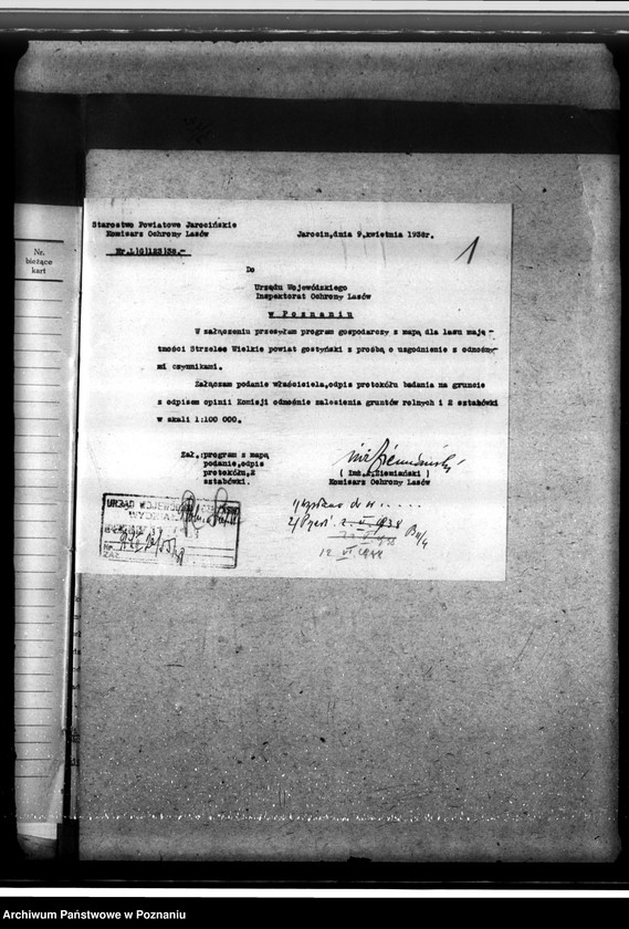 Obraz 5 z jednostki "Las majątku Strzelce-Wielkie w powiecie gostyńskim"