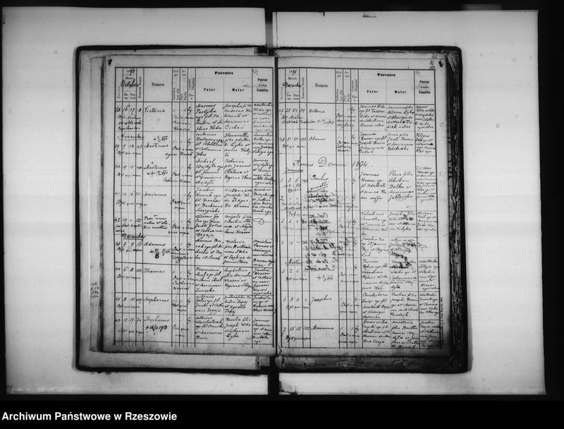 Obraz 16 z jednostki "Księga urodzeń - Łowisko"