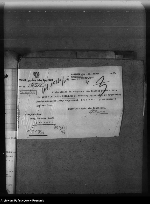 Obraz 8 z jednostki "Majętność leśna Łukowo powiat obornicki"