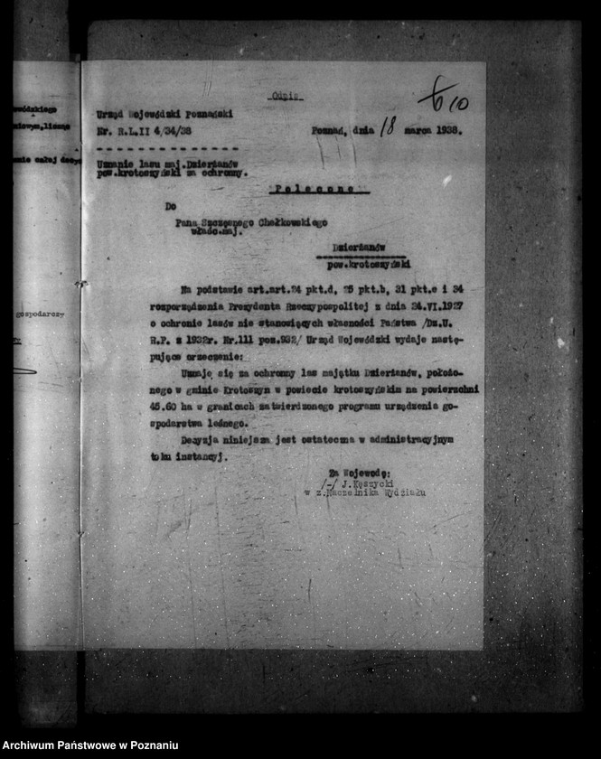 Obraz 14 z jednostki "Las majętności Dzierzanów powiat krotoszyński"