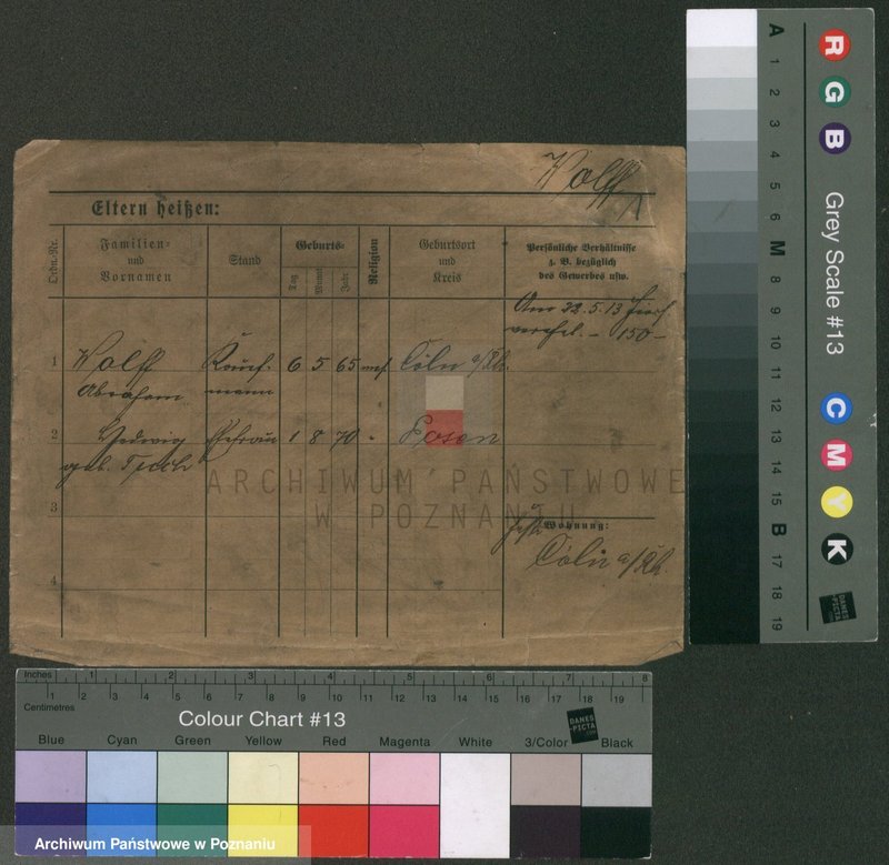 Obraz 5 z jednostki "Wolf (żonaci - samotni mężczyźni)"