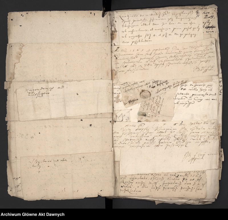 image.from.unit.number "Rekognicje poborowe z różnych województw."