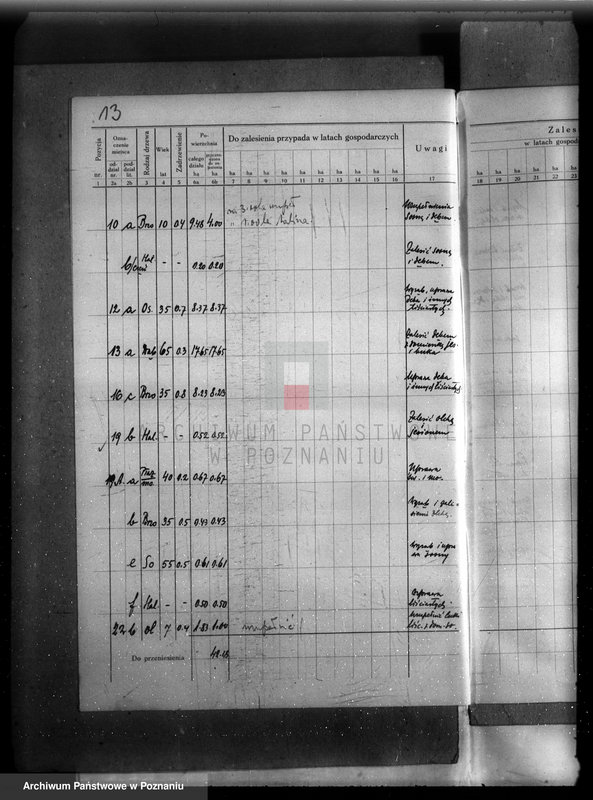 Obraz 17 z jednostki "Plan urządzenia gospodarstwa leśnego lasu majętności Dakowsko-Wojnowickiej w powiecie nowotomyskim"