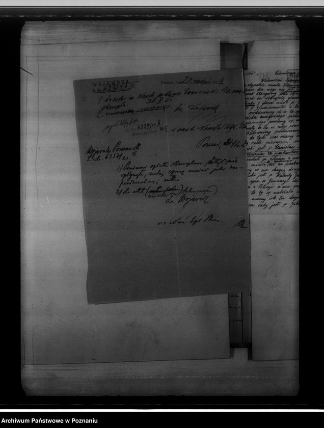 Obraz 10 z jednostki "Różności miasta Sulmierzyc"