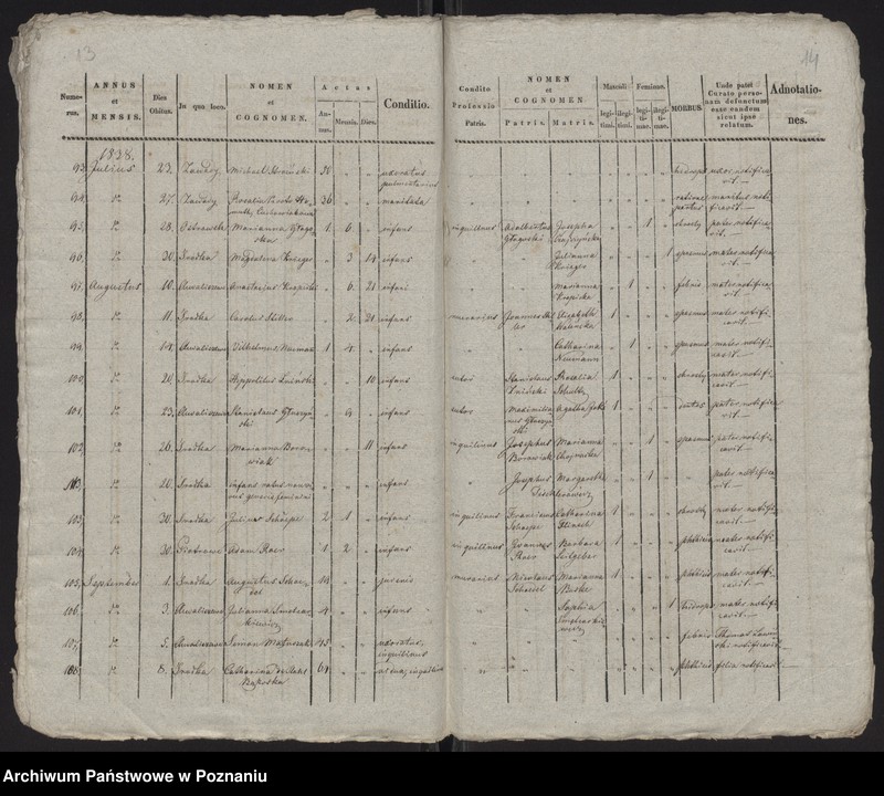 Obraz 9 z jednostki "Spis zgonów"