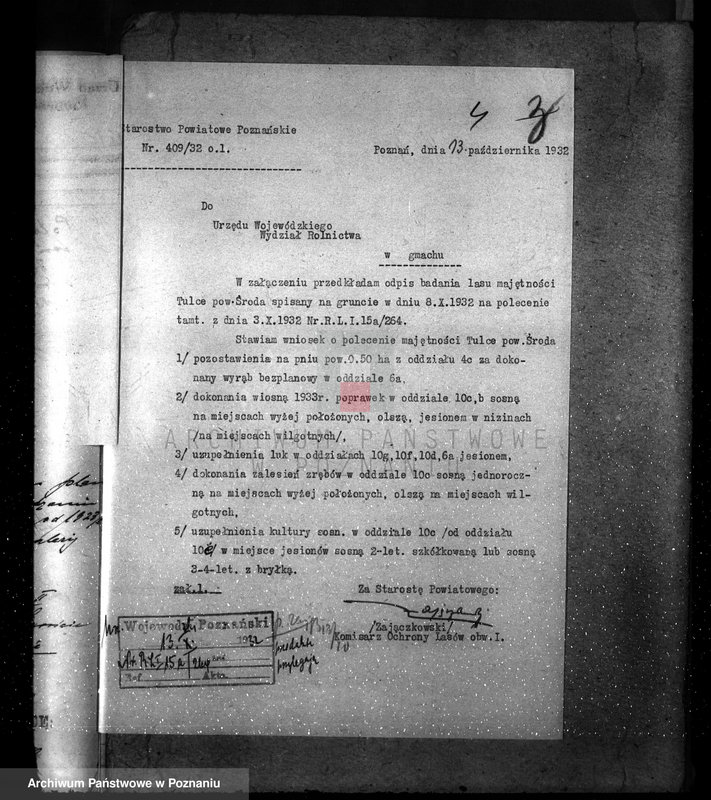 Obraz 8 z jednostki "Nadzór nad gospodarką w lasach majętności Tulce powiat średzki"