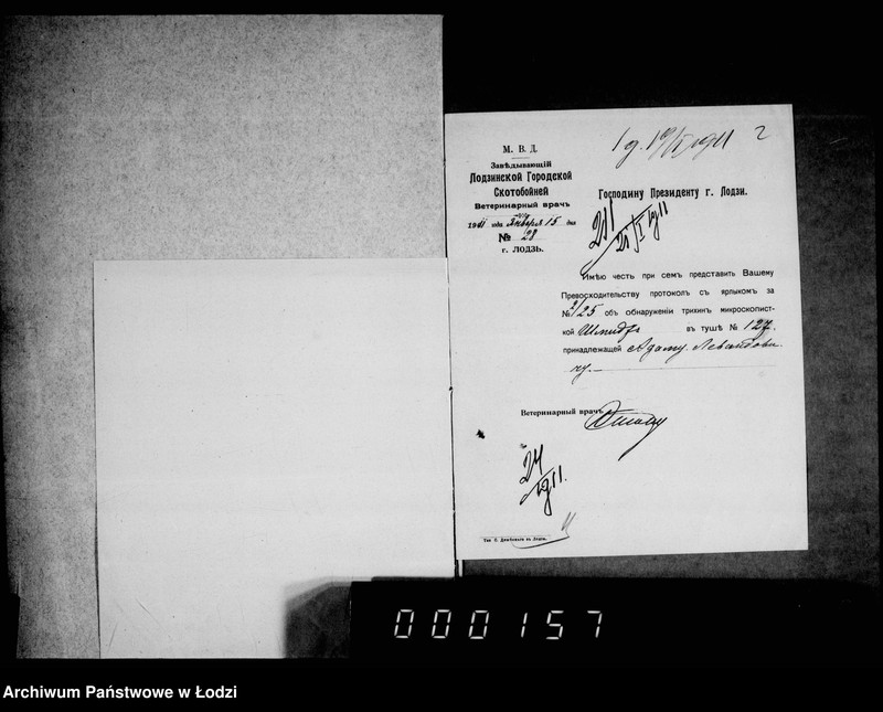 Obraz 6 z jednostki "O voznagraždenji za uničtožennyja na gorodskoj skotobojne trichinoznyja svinnyja tuši"