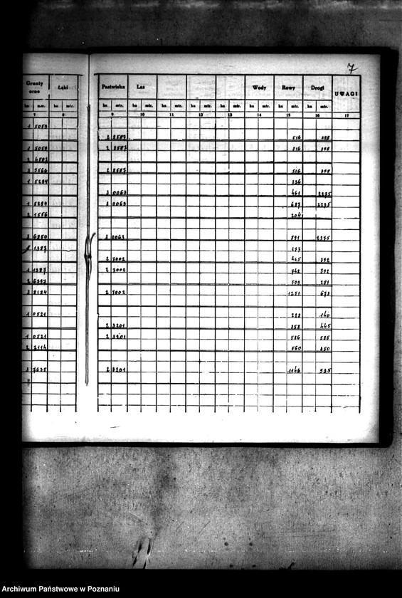 Obraz 10 z jednostki "Rejestr pomiarowy wsi Nowa-Wieś Cienińska /praca scaleniowa/"