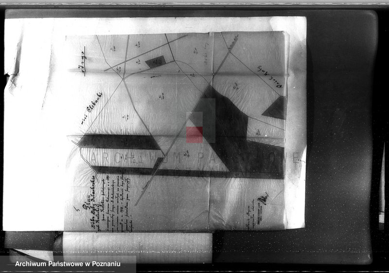 Obraz 9 z jednostki "Sprawa nieprawego wykarczowania lasu i zamiana go na użytek rolny w lasach majątku Dęby Szlacheckie własność P. J. Żeromskiego"