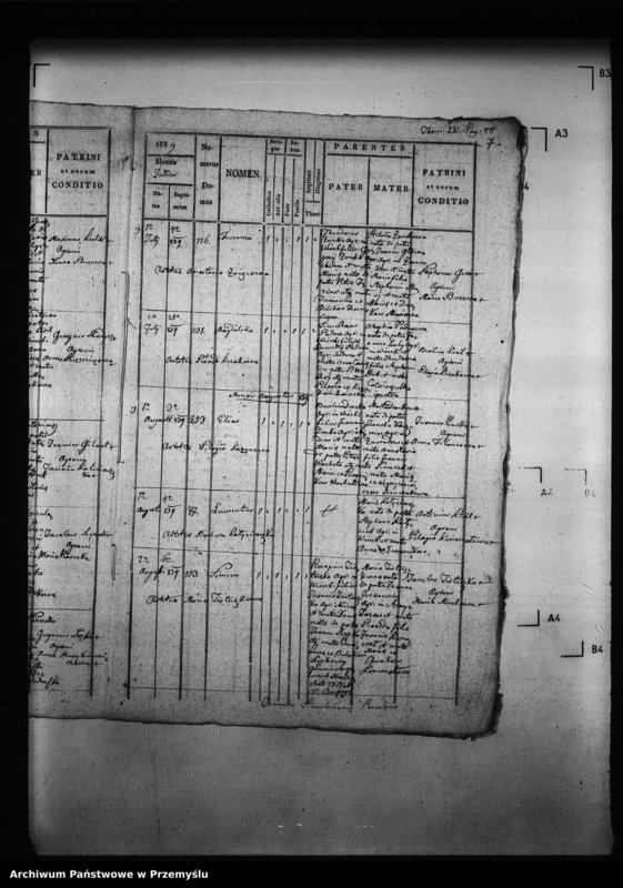 Obraz 11 z jednostki "[Kopie ksiąg metrykalnych parafii Wierzbiany (dekanat Niemirów)]"