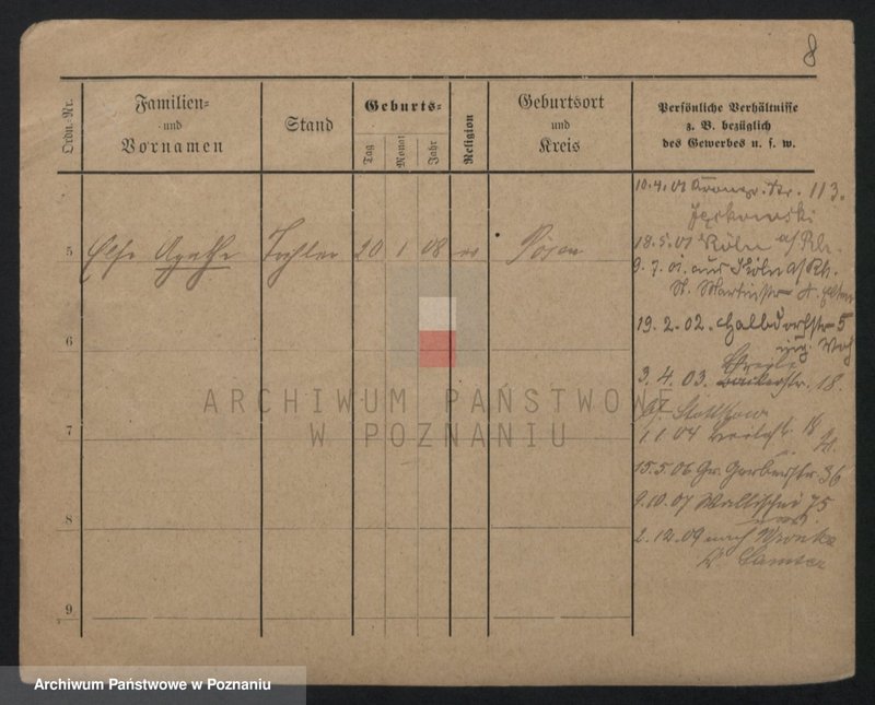 Obraz 8 z jednostki "Kreczman - Krenauer"