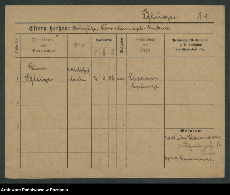 Obraz 16 z jednostki "Pflieger - Piasecki"