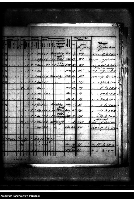 Obraz 8 z jednostki "Wykaz zgłoszeń na nabycie ziemi z parcelacji majątku Białośliwie"
