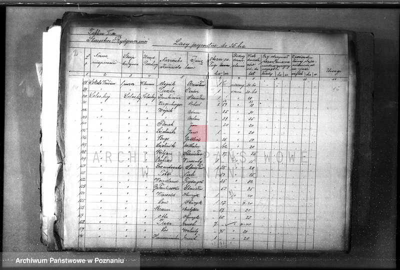 Obraz 12 z jednostki "/Lasy prywatne/ Spis według powiatów"