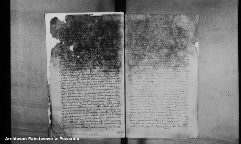 Obraz 11 z jednostki "Decreta officii [inducta]"