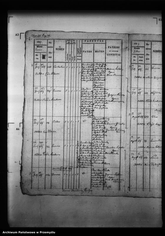 Obraz 10 z jednostki "[Kopie ksiąg metrykalnych parafii Wierzbiany (dekanat Niemirów)]"