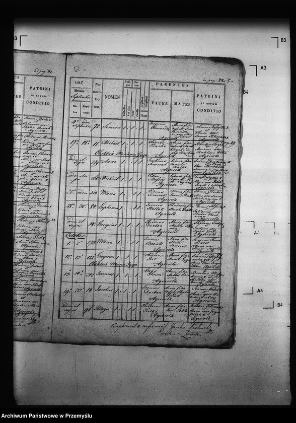 Obraz 11 z jednostki "[Kopie ksiąg metrykalnych parafii Zawadów (dekanat Niemirów)]"