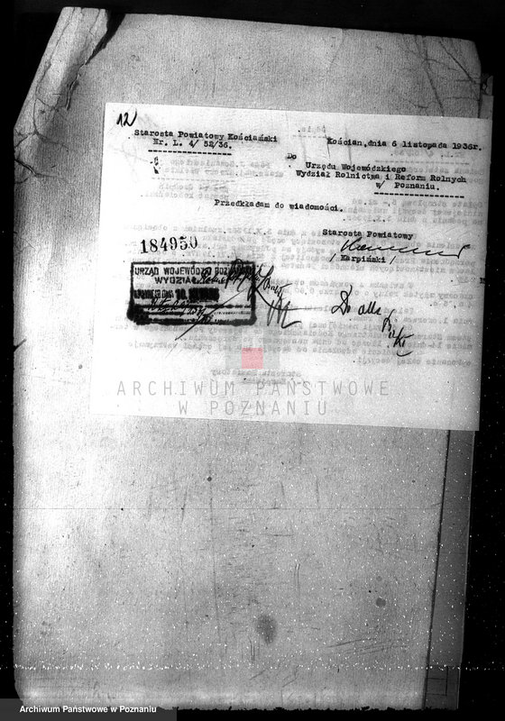 Obraz 16 z jednostki "Majętność leśna Srocko-Wielkie powiat kościański"