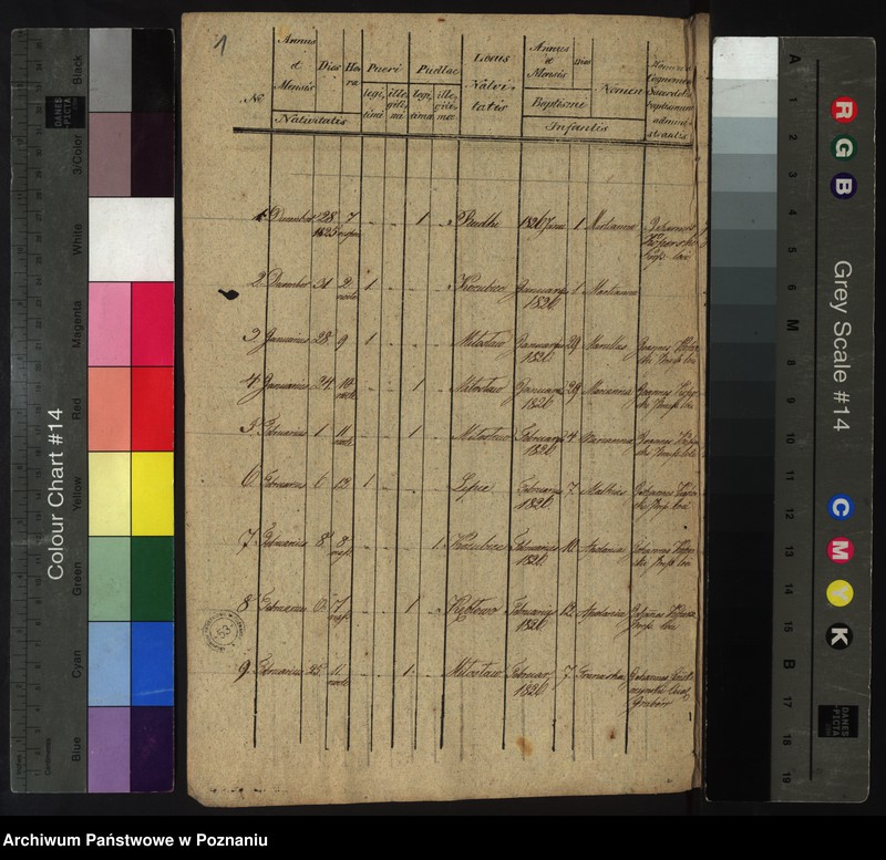 Obraz 3 z jednostki "Libri Metrices Baptisatorum, Copulatorum, Mortuorum"