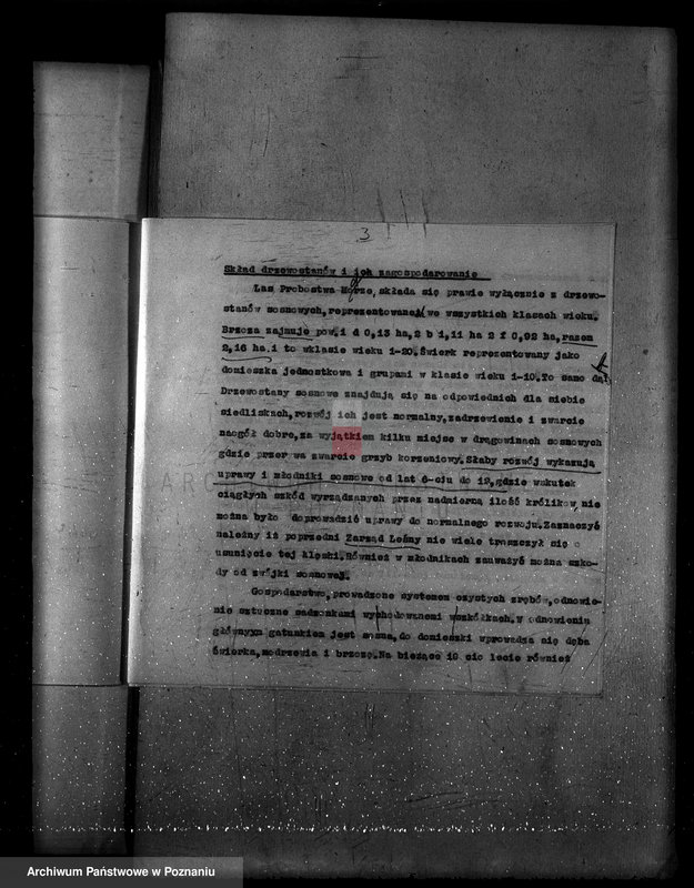 Obraz 7 z jednostki "Program urządzenia gospodarstwa leśnego lasu probostwa Modrzu powiat poznański"